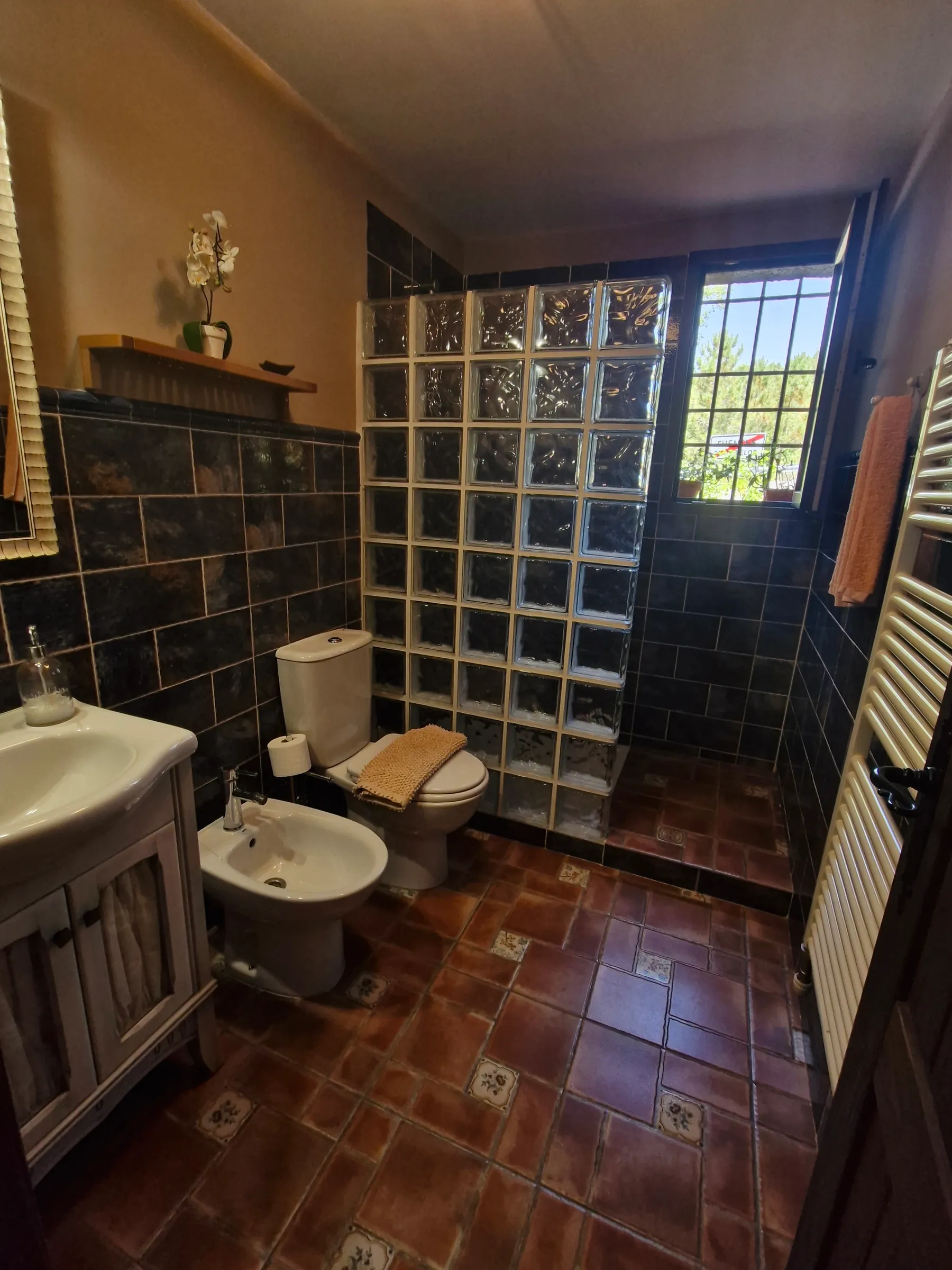 Baño de El Jardín con ducha de obra, gresite oscuro y pared de bloques de vidrio