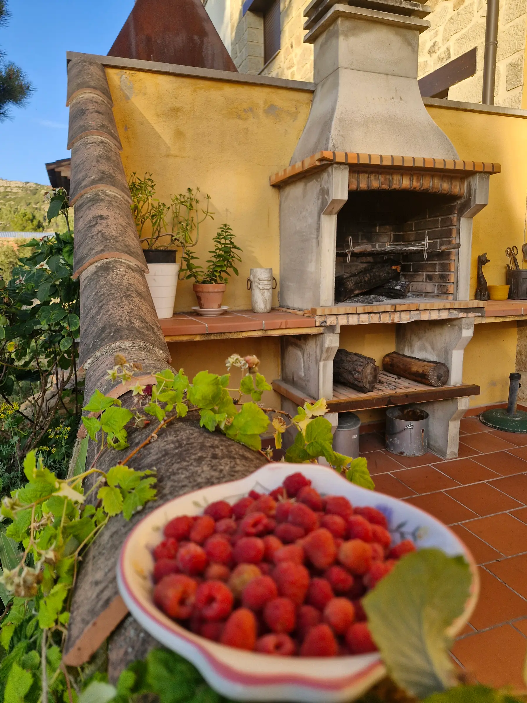 Barbacoa de la terraza de El Jardín con un cuenco de frambuesas en primer plano